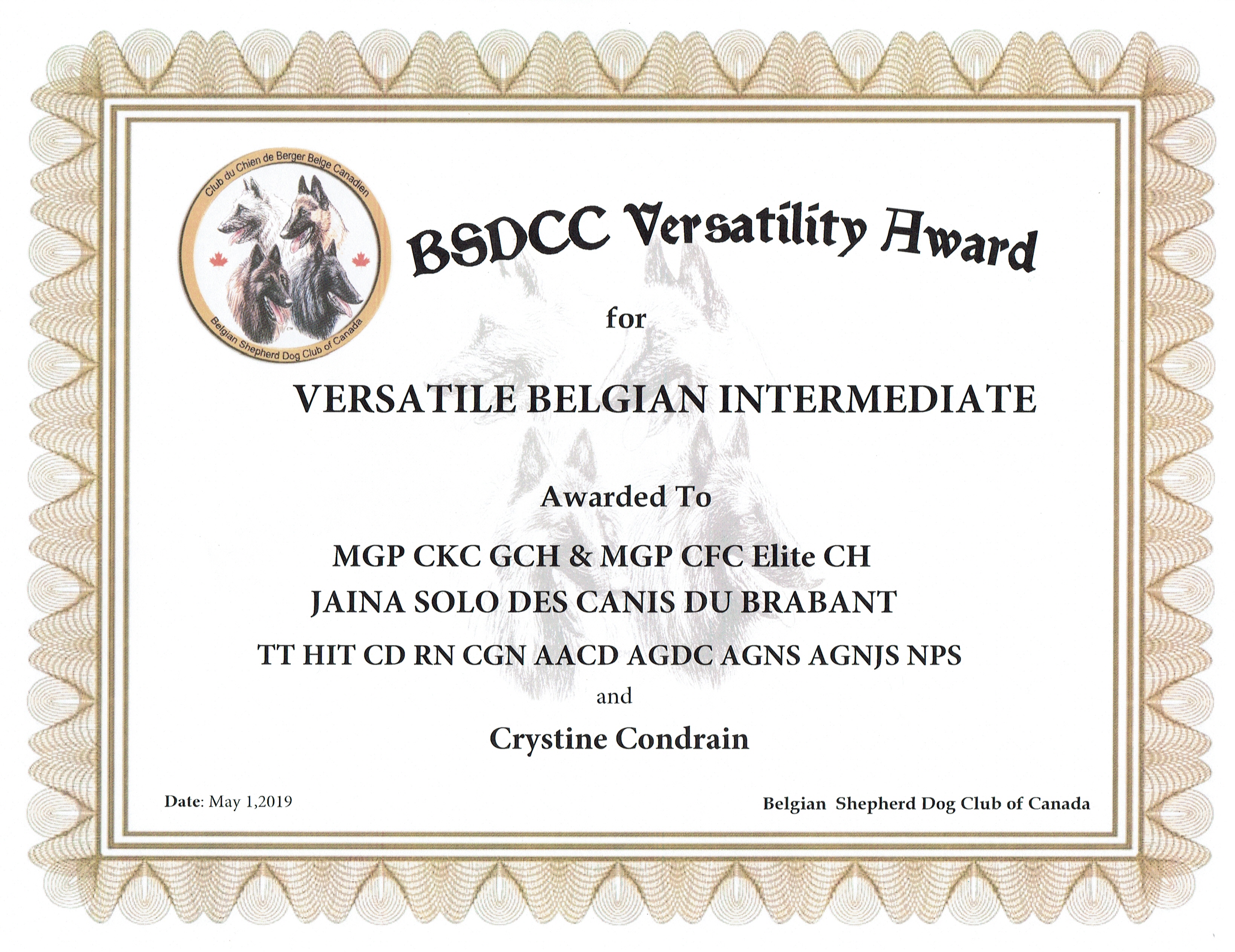 Versatile Intermediate Award from the Belgian Shepherd Dog club of Canada